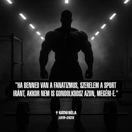 SportMate Gallery Image