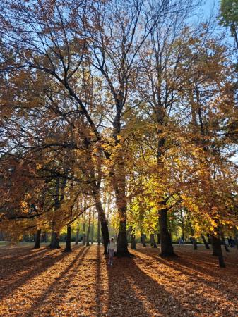 SportMate Gallery Image