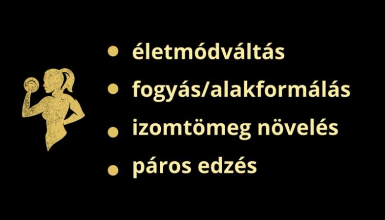 SportMate Gallery Image