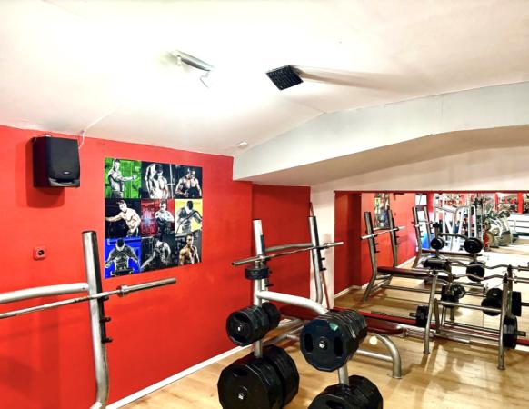SportMate Gallery Image