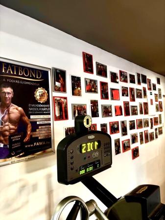 SportMate Gallery Image